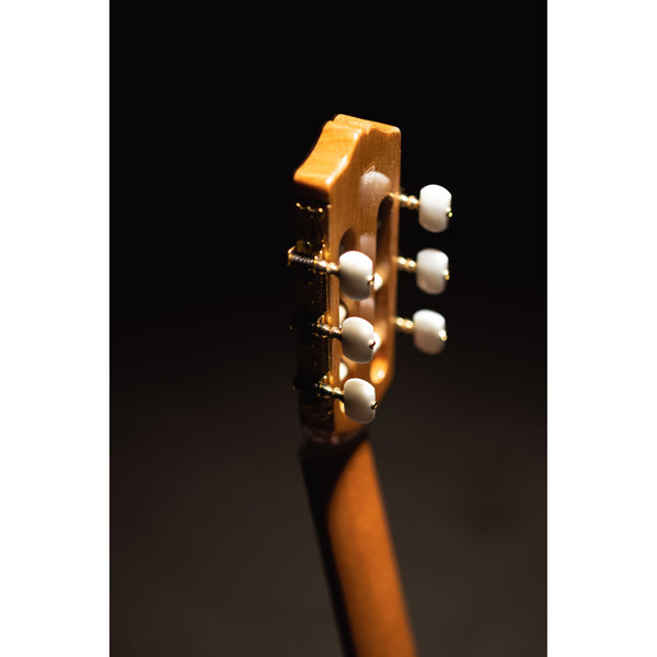 Córdoba C5-CE CD Cutaway Classical Guitar with Fishman Electronics