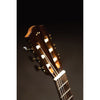 Córdoba C5-CE CD Cutaway Classical Guitar with Fishman Electronics
