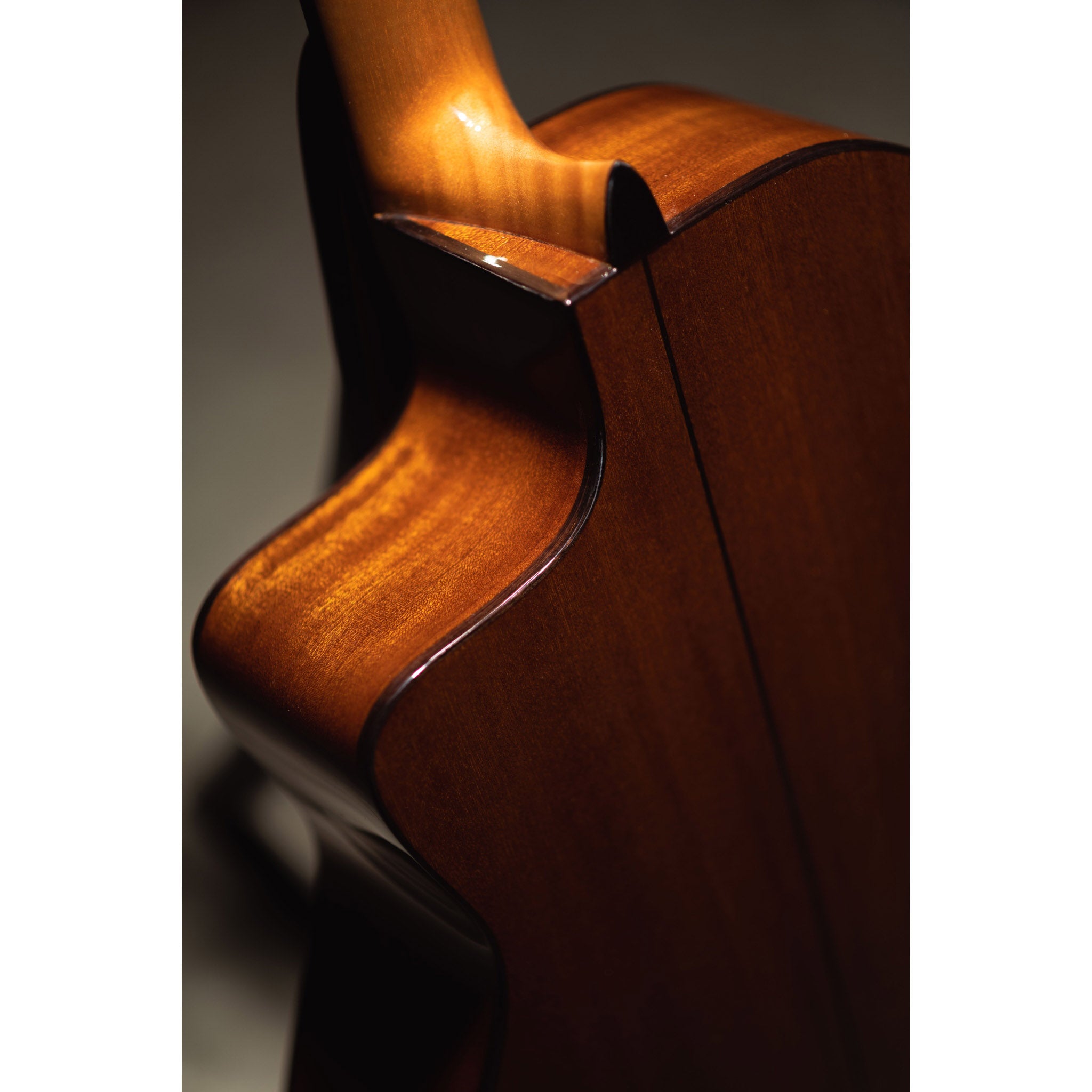 Córdoba C5-CE CD Cutaway Classical Guitar with Fishman Electronics