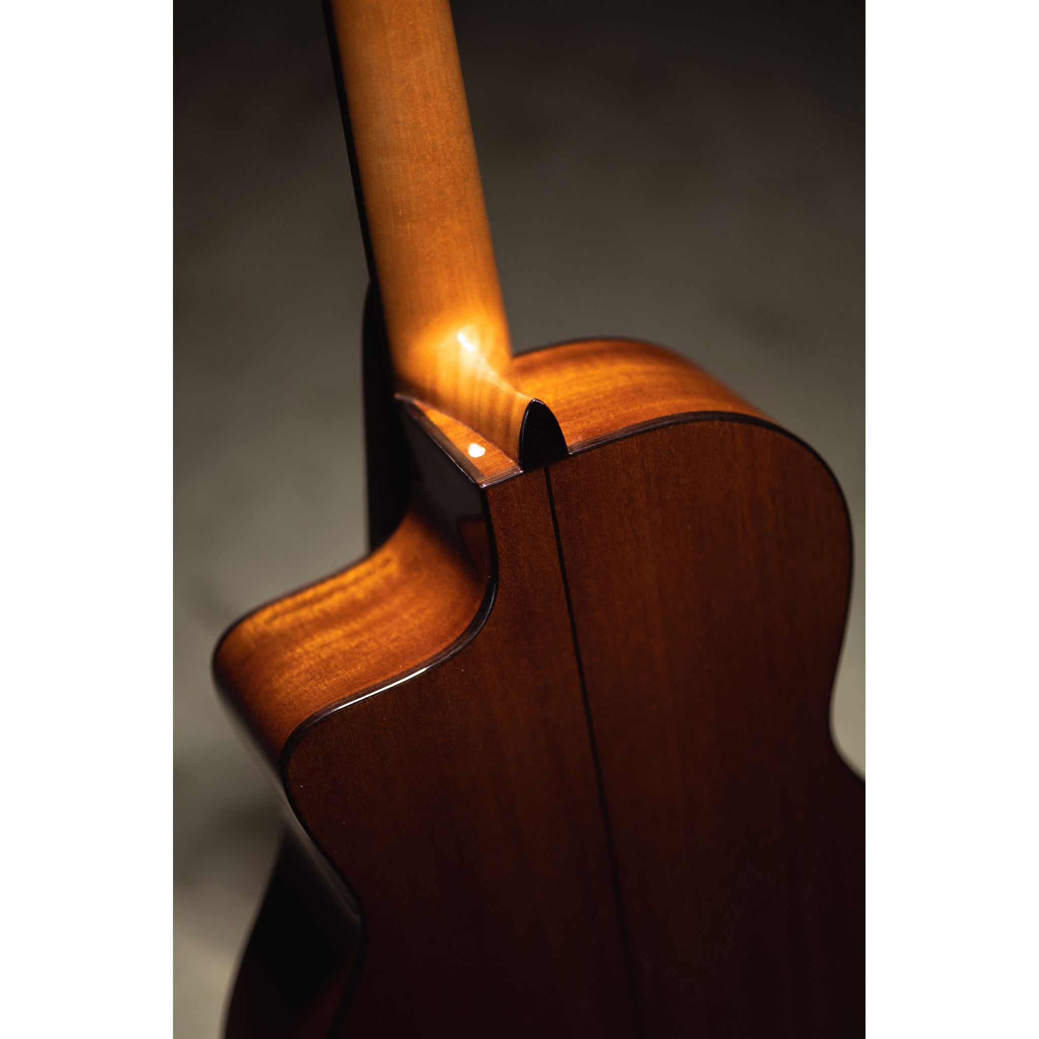 Córdoba C5-CE CD Cutaway Classical Guitar with Fishman Electronics