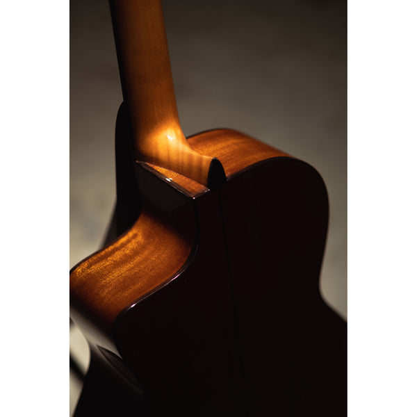 Córdoba C5-CE CD Cutaway Classical Guitar with Fishman Electronics