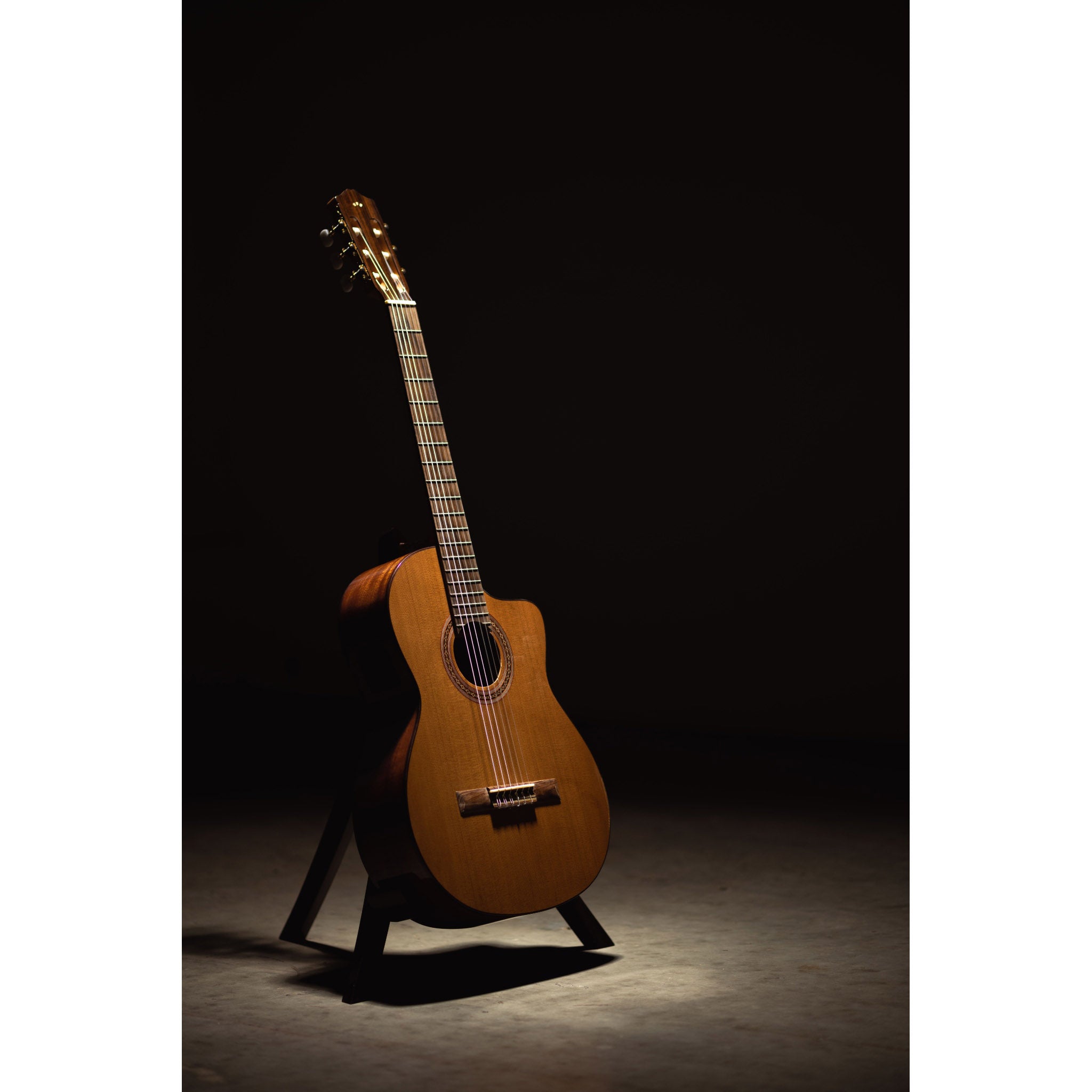 Córdoba C5-CE CD Cutaway Classical Guitar with Fishman Electronics