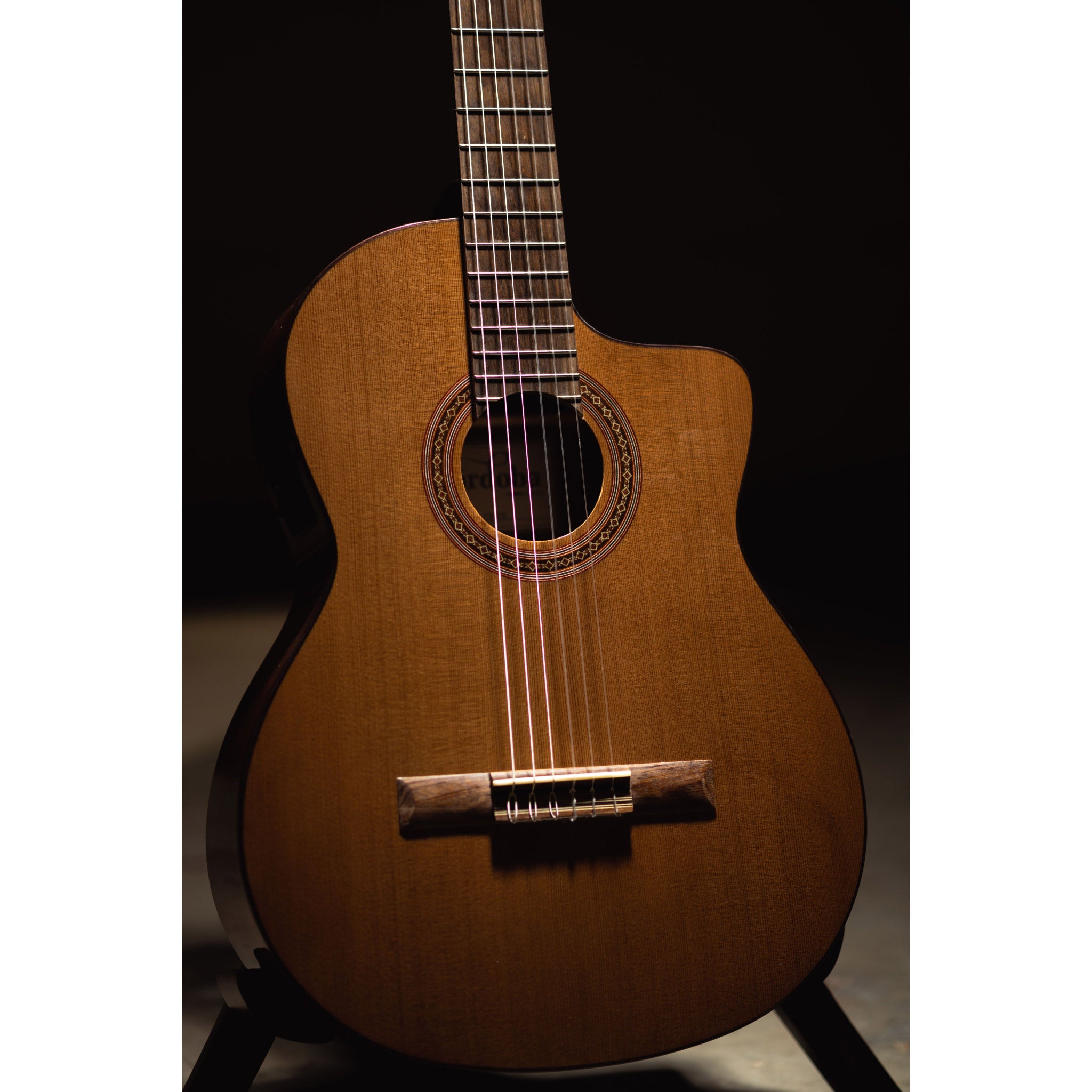 Córdoba C5-CE CD Cutaway Classical Guitar with Fishman Electronics
