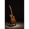 Córdoba C5-CE CD Cutaway Classical Guitar with Fishman Electronics