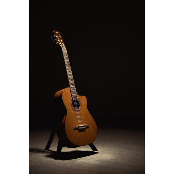 Córdoba C5-CE CD Cutaway Classical Guitar with Fishman Electronics