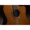 Córdoba C5-CE CD Cutaway Classical Guitar with Fishman Electronics