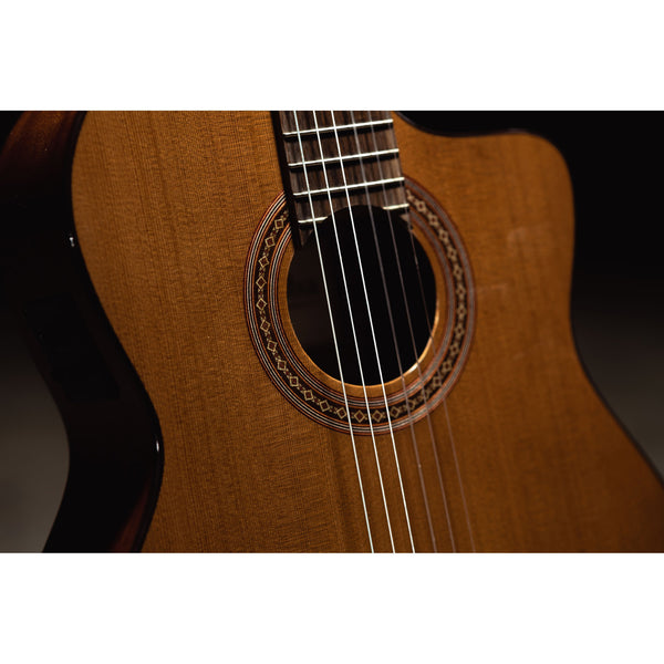 Córdoba C5-CE CD Cutaway Classical Guitar with Fishman Electronics