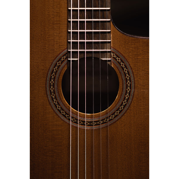 Córdoba C5-CE CD Cutaway Classical Guitar with Fishman Electronics