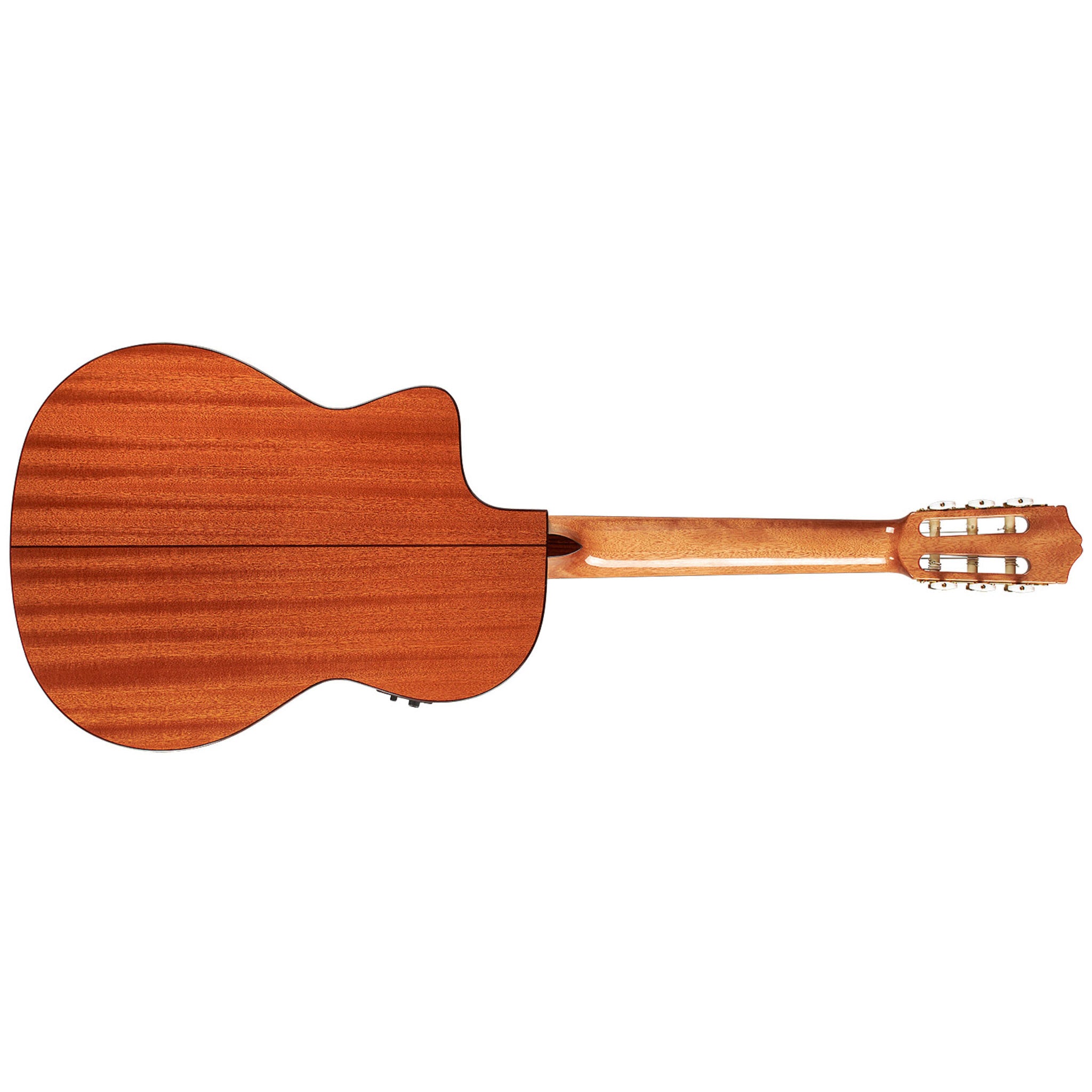 Córdoba C5-CE CD Cutaway Classical Guitar with Fishman Electronics