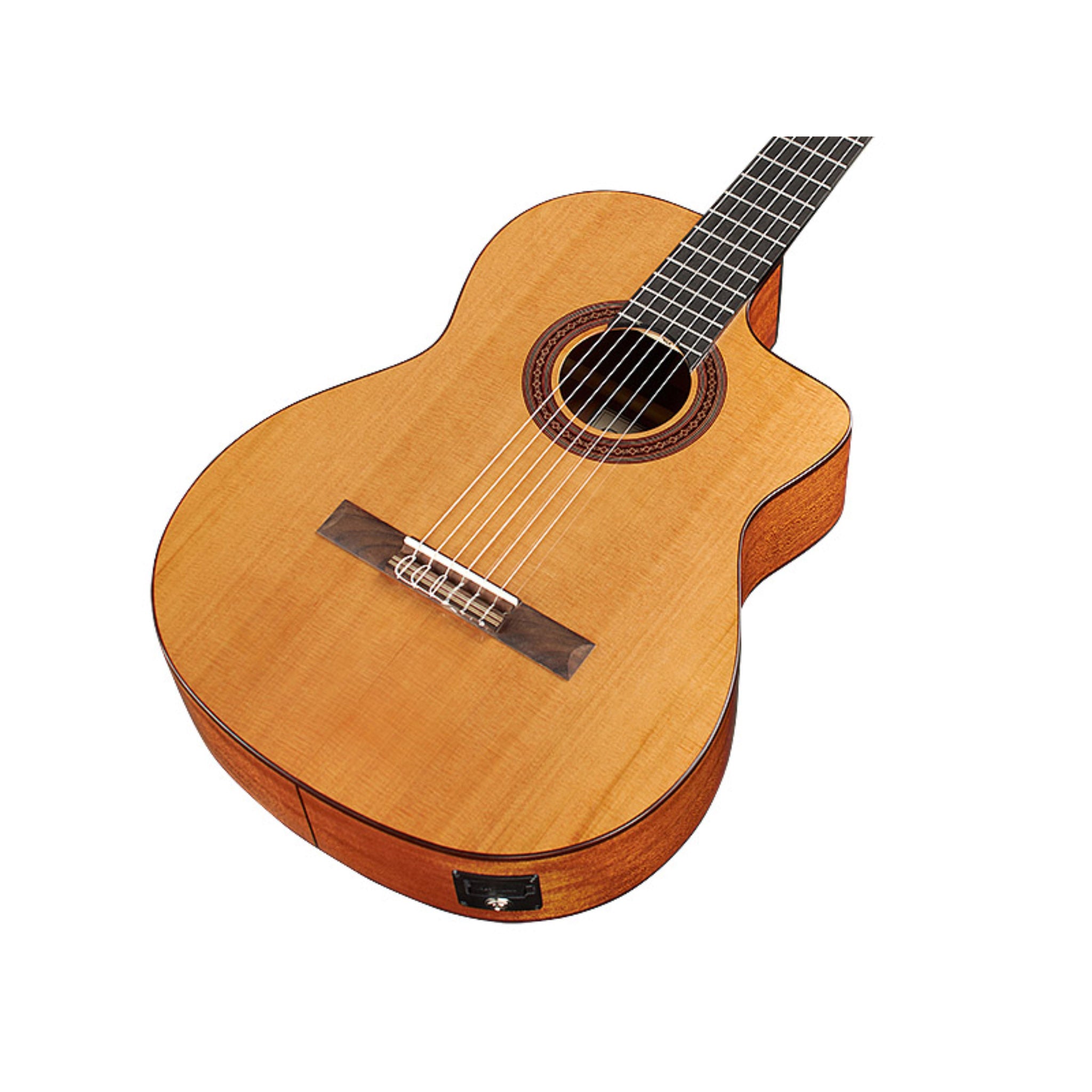 Córdoba C5-CE CD Cutaway Classical Guitar with Fishman Electronics