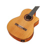 Córdoba C5-CE CD Cutaway Classical Guitar with Fishman Electronics