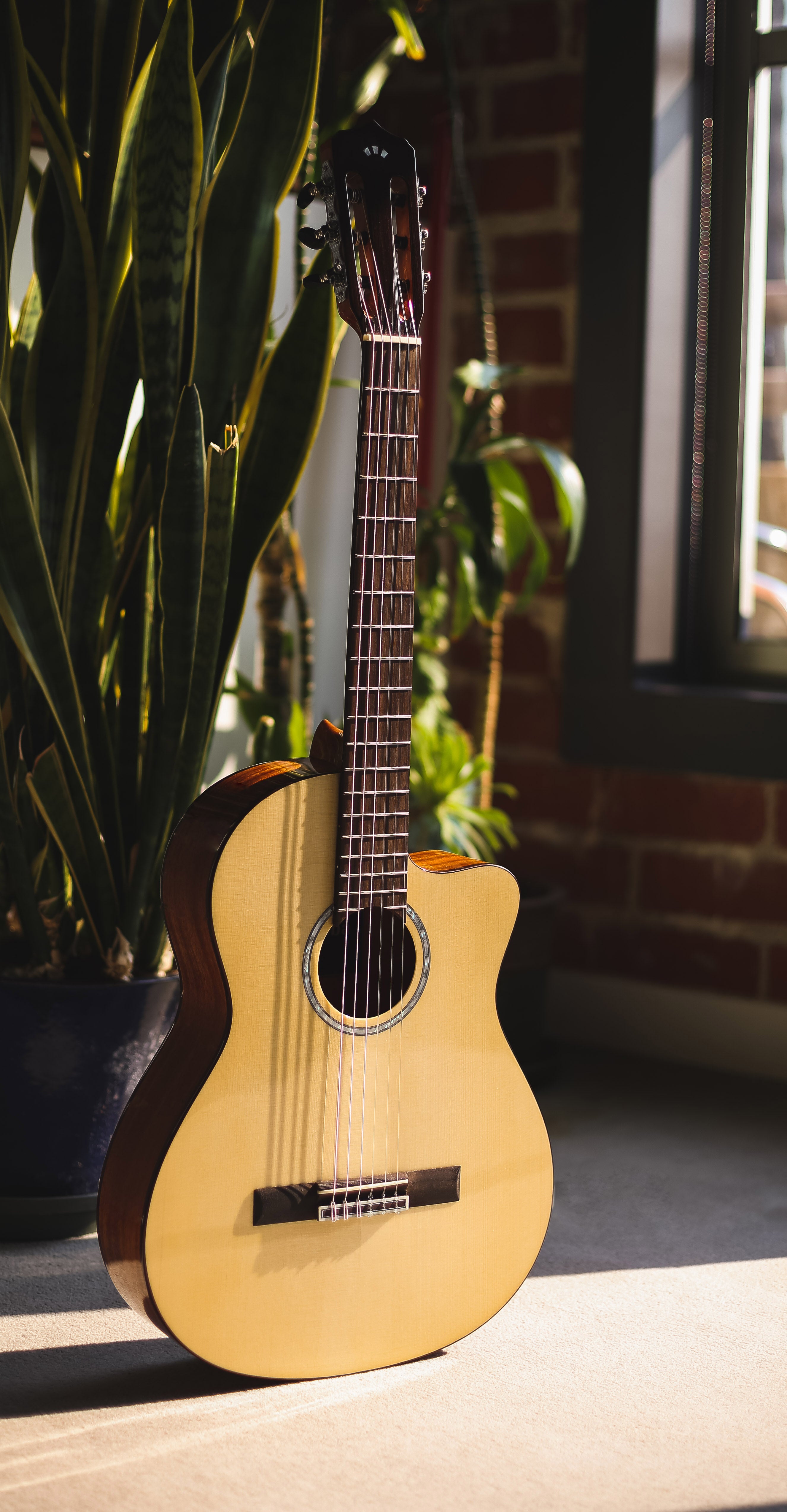 Córdoba Fusion 5 Nylon String Crossover Classical Guitar