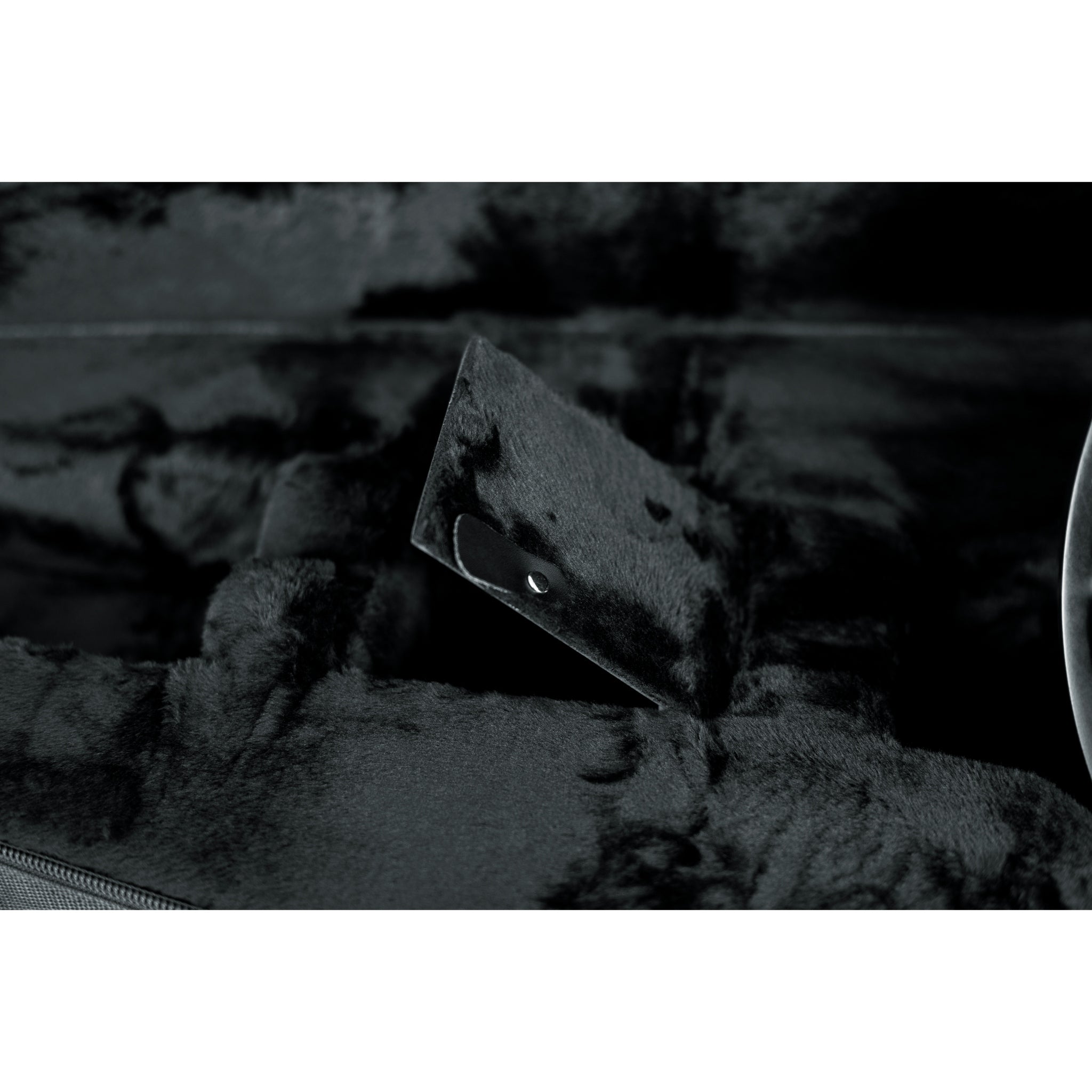 Gator Banjo Lightweight Case