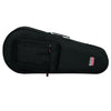 Gator Mandolin Lightweight Case
