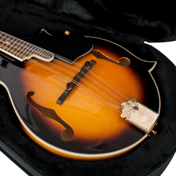 Gator Mandolin Lightweight Case