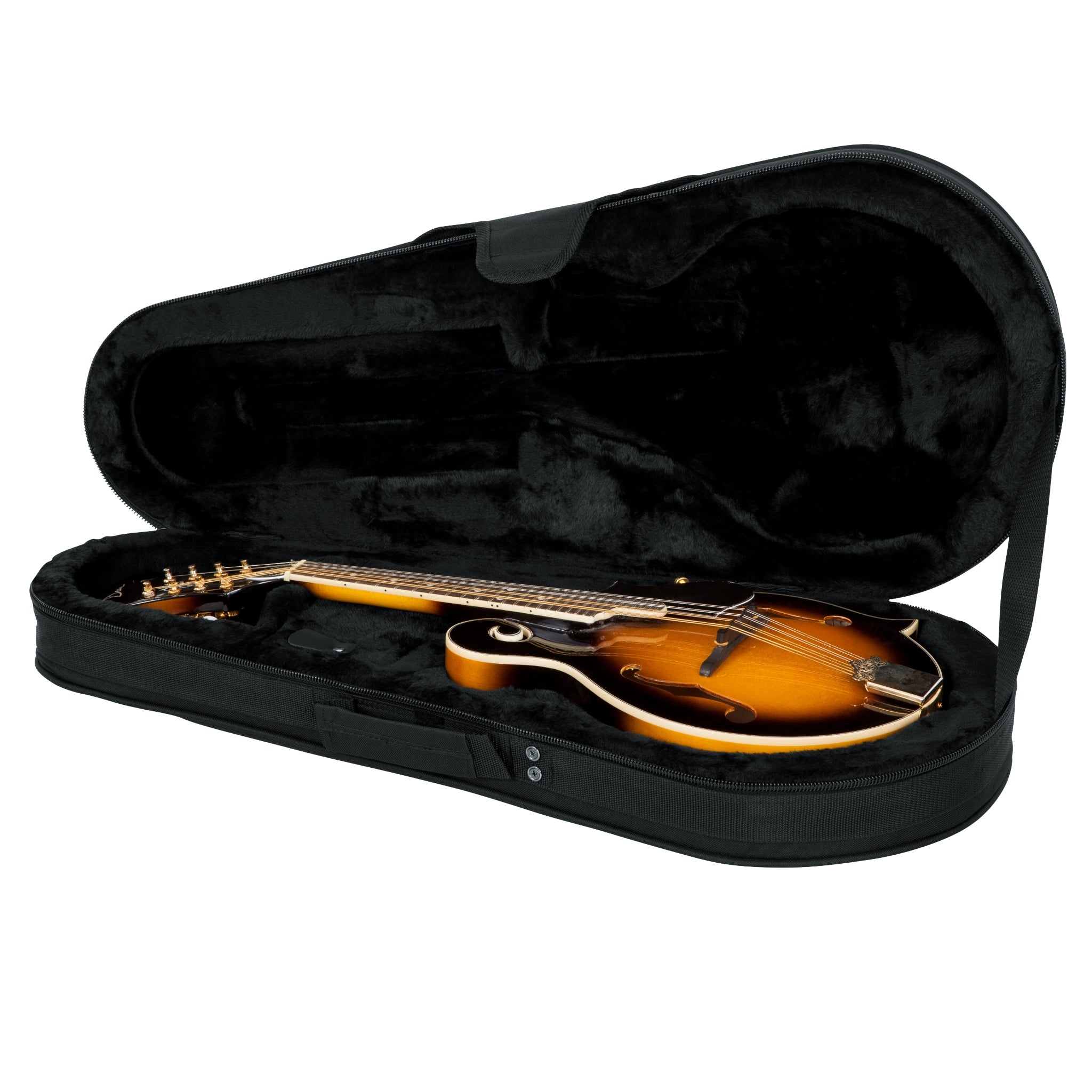 Gator Mandolin Lightweight Case