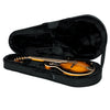 Gator Mandolin Lightweight Case