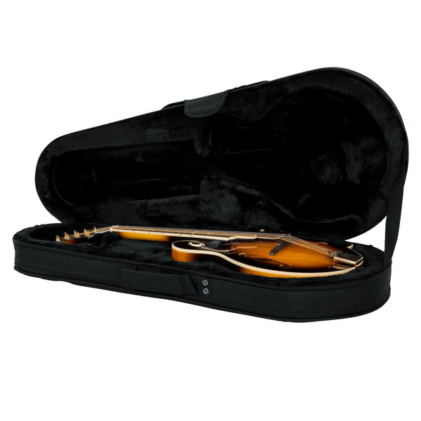 Gator Mandolin Lightweight Case