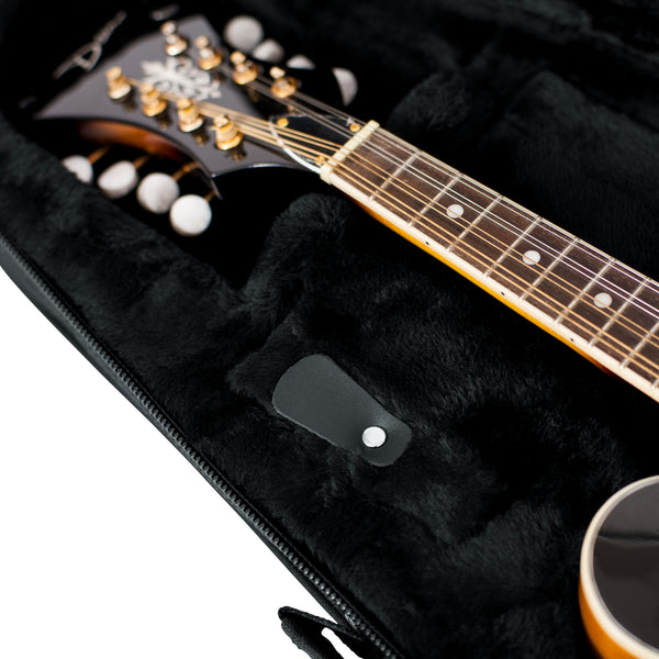 Gator Mandolin Lightweight Case