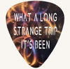 Grateful Dead What A Long Strange Trip Guitar Pick Metal Art