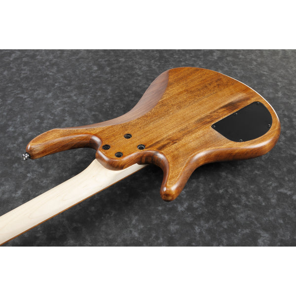 Ibanez GSR100EX Gio SR 4-String Electric Bass - Mahogany Oil