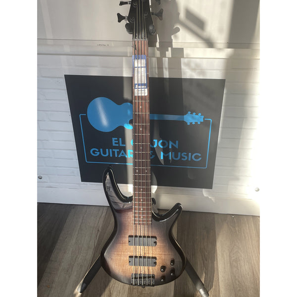 Ibanez GIO GSR205SMNGT 5-String Electric Bass Guitar - Spalted Maple Top, Natural Gray Burst