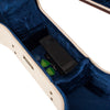 Gator Journeyman Dreadnaught Acoustic Deluxe Wood Case