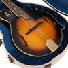 Gator Journeyman Mandolin Deluxe Wood Case