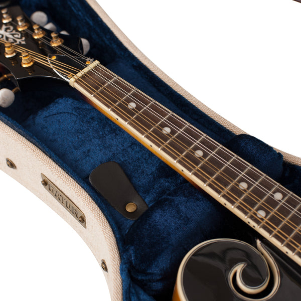 Gator Journeyman Mandolin Deluxe Wood Case