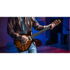 Washburn Wing Series Hawk H10TS-U – Tobacco Sunburst – In Stock