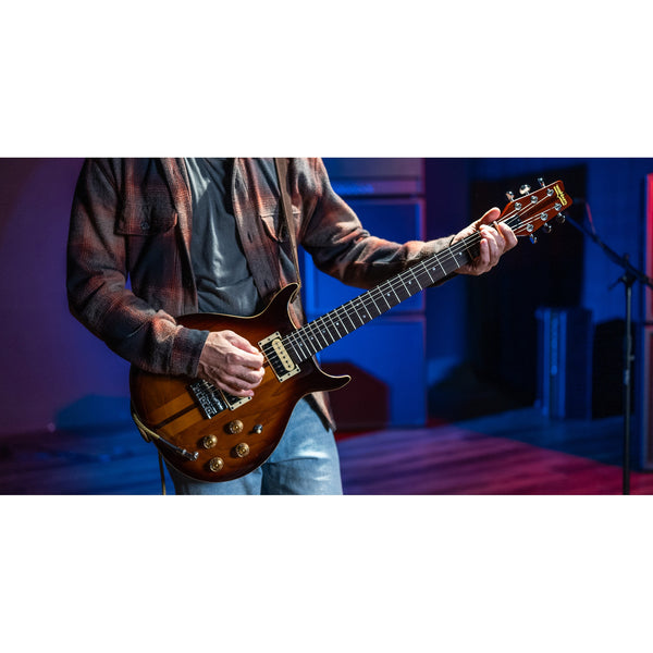 Washburn Wing Series Hawk H10TS-U – Tobacco Sunburst – In Stock