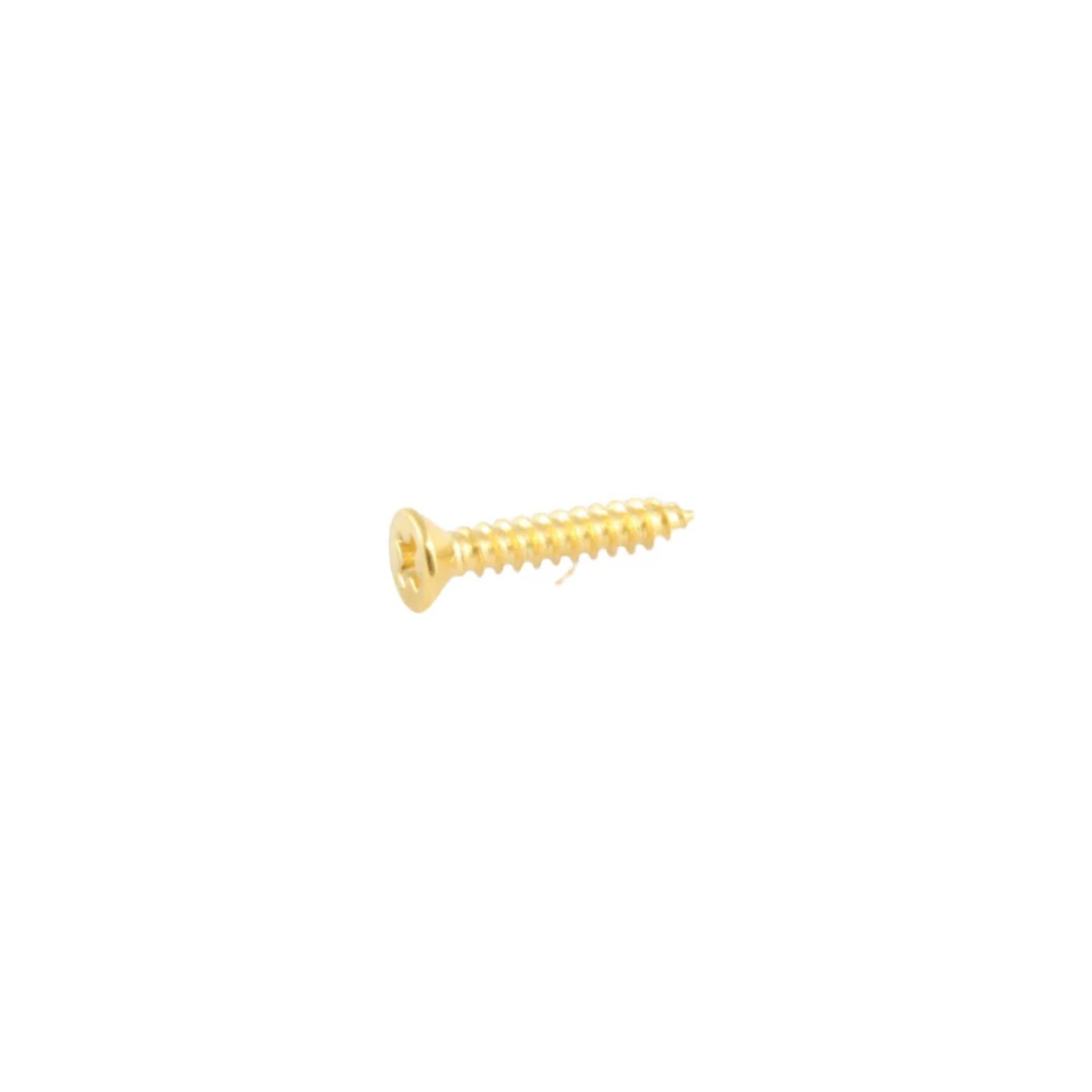 GuitarShort Humbucking Ring Screws