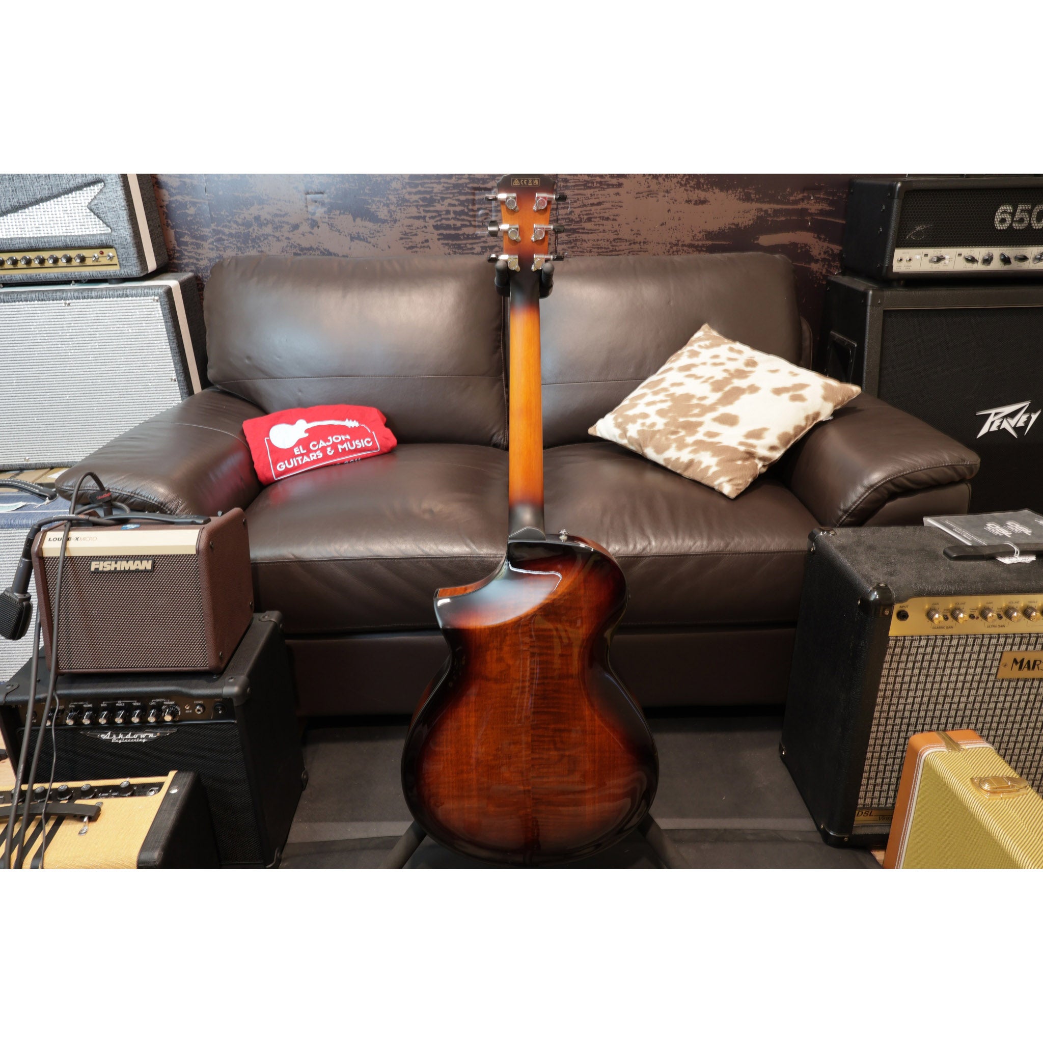 Ibanez Acoustic Electric Guitar AEWC400