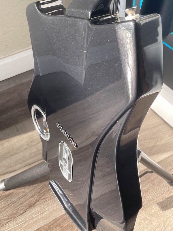 Wild Custom Guitars 1966 FORD MUSTANG GT350H