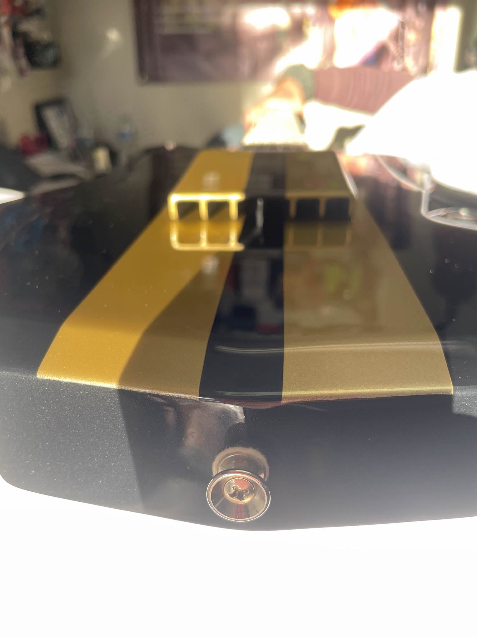 Wild Custom Guitars 1966 FORD MUSTANG GT350H