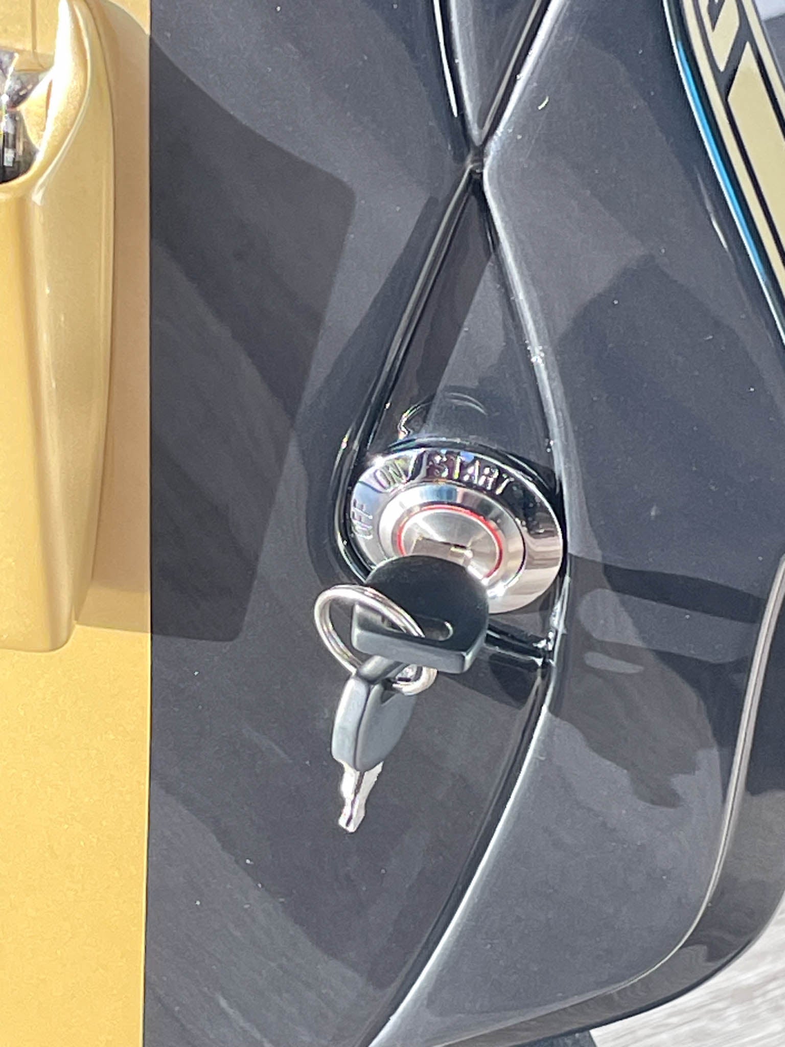 Wild Custom Guitars 1966 FORD MUSTANG GT350H