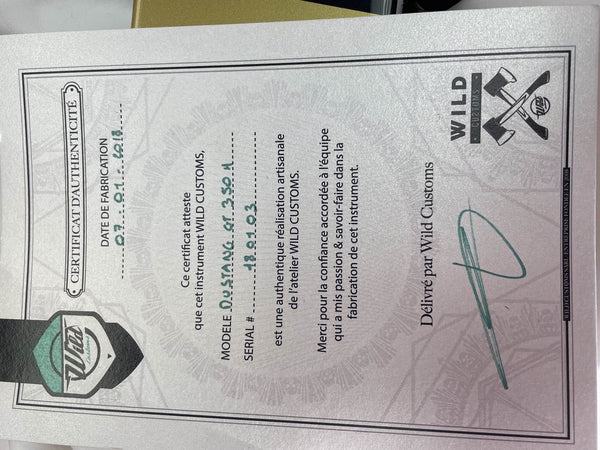 Wild Custom Guitars 1966 FORD MUSTANG GT350H