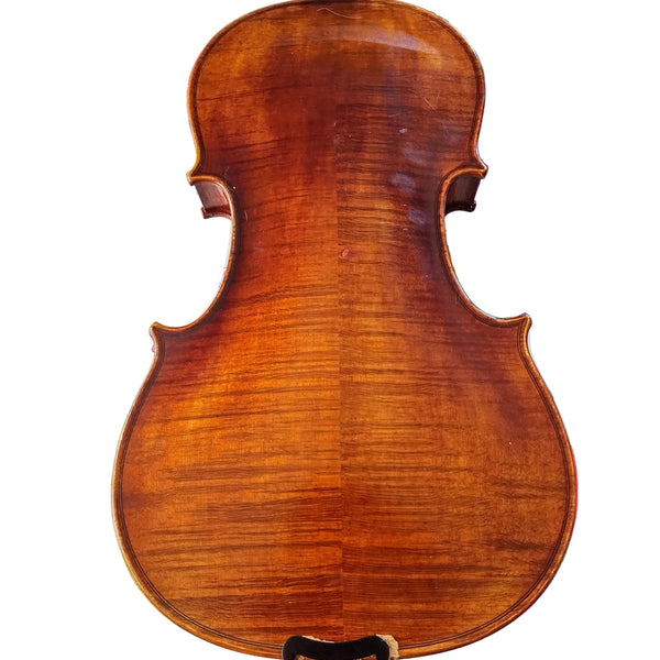 Rozanna's Lumina Artist Violin Outfit (Aria Tailpiece)