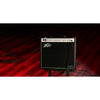 Peavey Invective 112