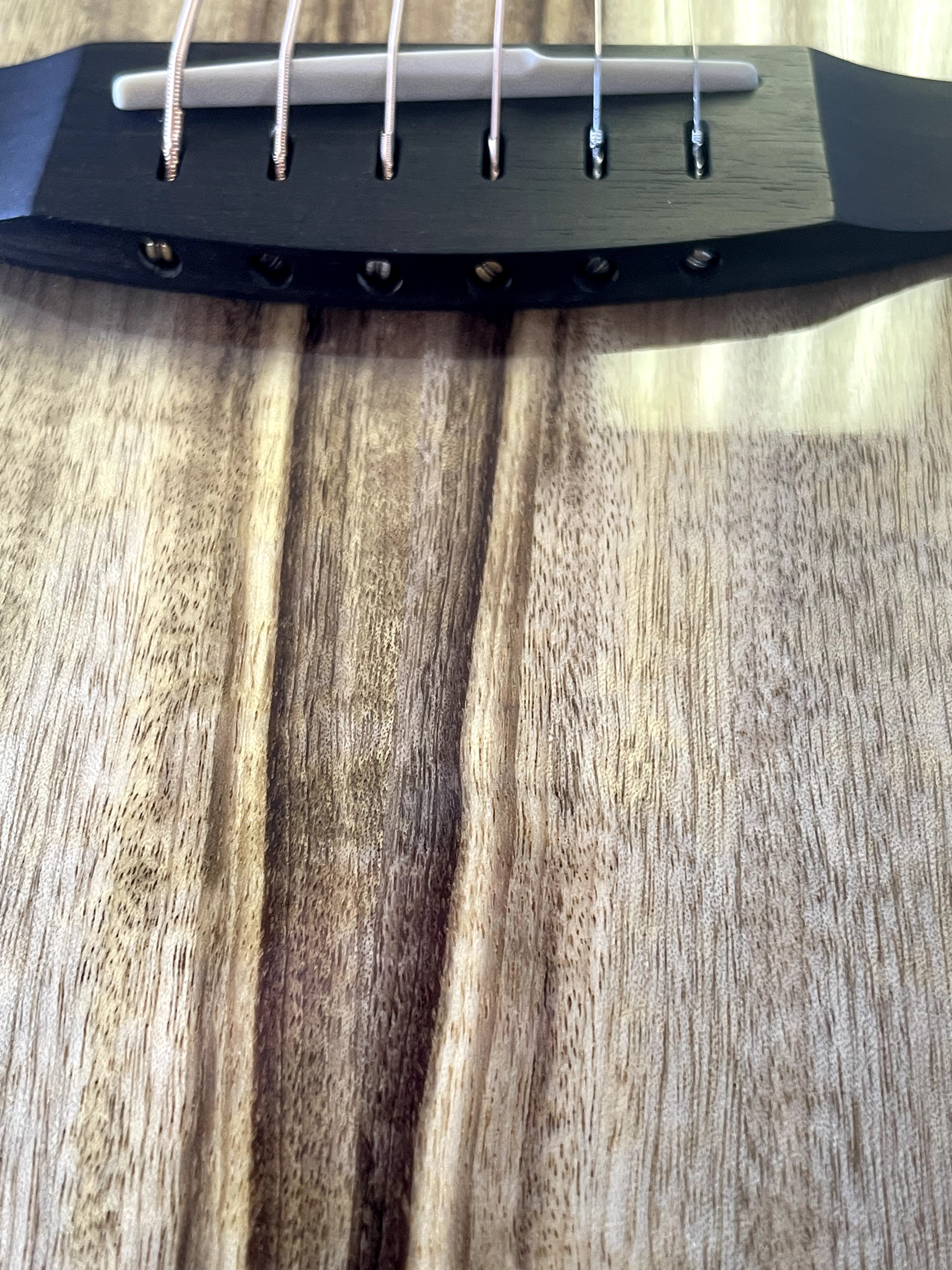 Oregon Dreadnought Concerto CE Myrtlewood-Myrtlewood with Deluxe Breedlove Case