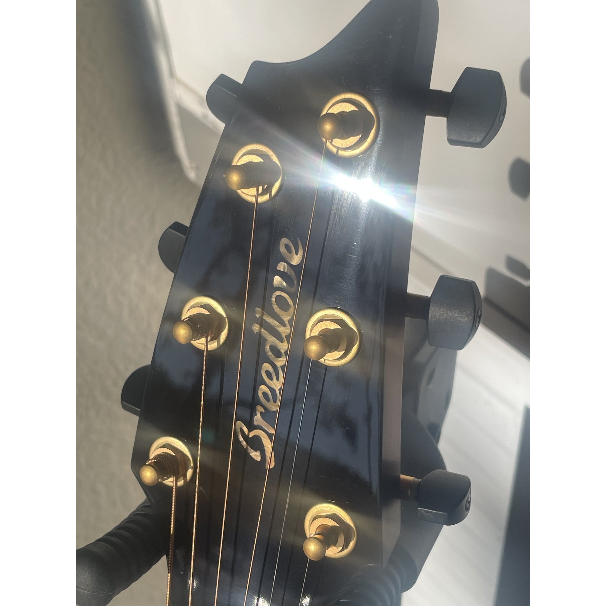 Breedlove USA Made Oregon Concert Old Fashioned CASE INCLUDED CE Myrtlewood-Myrtlewood