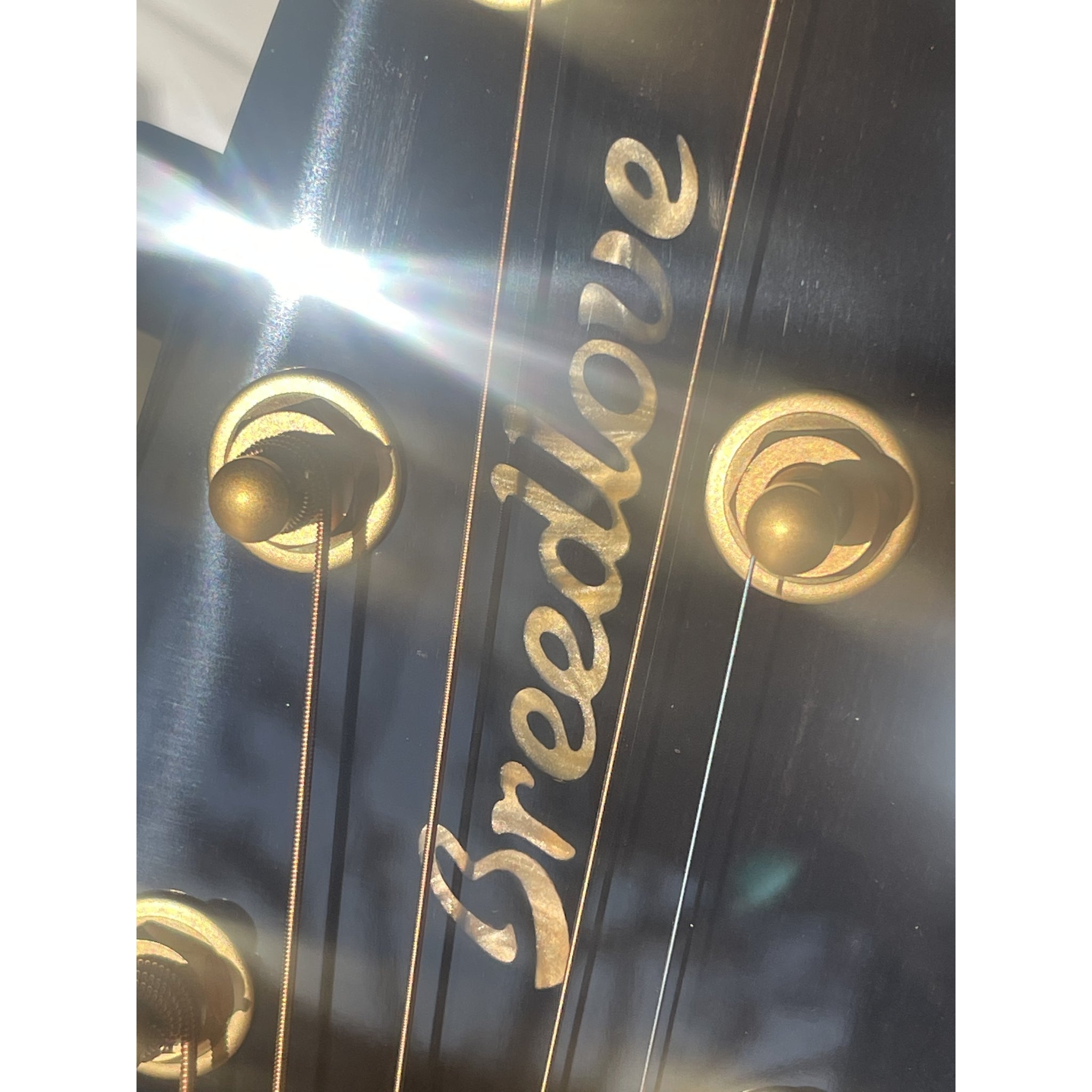 Breedlove USA Made Oregon Concert Old Fashioned CASE INCLUDED CE Myrtlewood-Myrtlewood