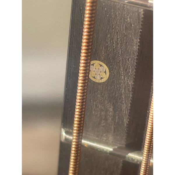 Breedlove USA Made Oregon Concert Old Fashioned CASE INCLUDED CE Myrtlewood-Myrtlewood