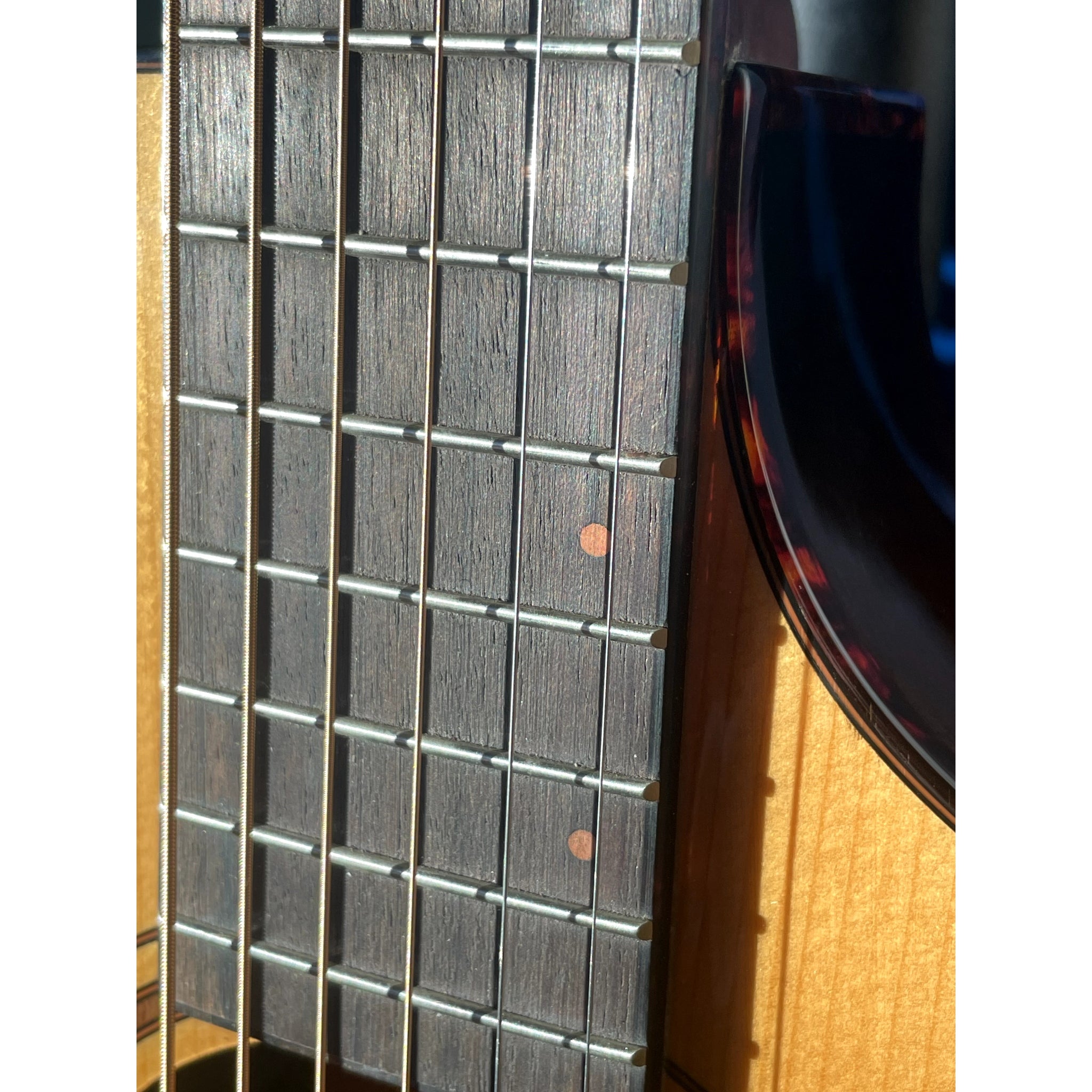 Breedlove Performer Pro Concertina (Parlor) CE — European Spruce / African Mahogany — Aged Toner