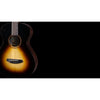 Breedlove Performer Pro Parlor Concertina Tobacco Burst E (Eur. Spruce / East Indian Rosewood)