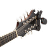 Mandolin headstock with a D'Addario PW-CT-13 Micro Universal Guitar Tuner digital tuner on a white background.