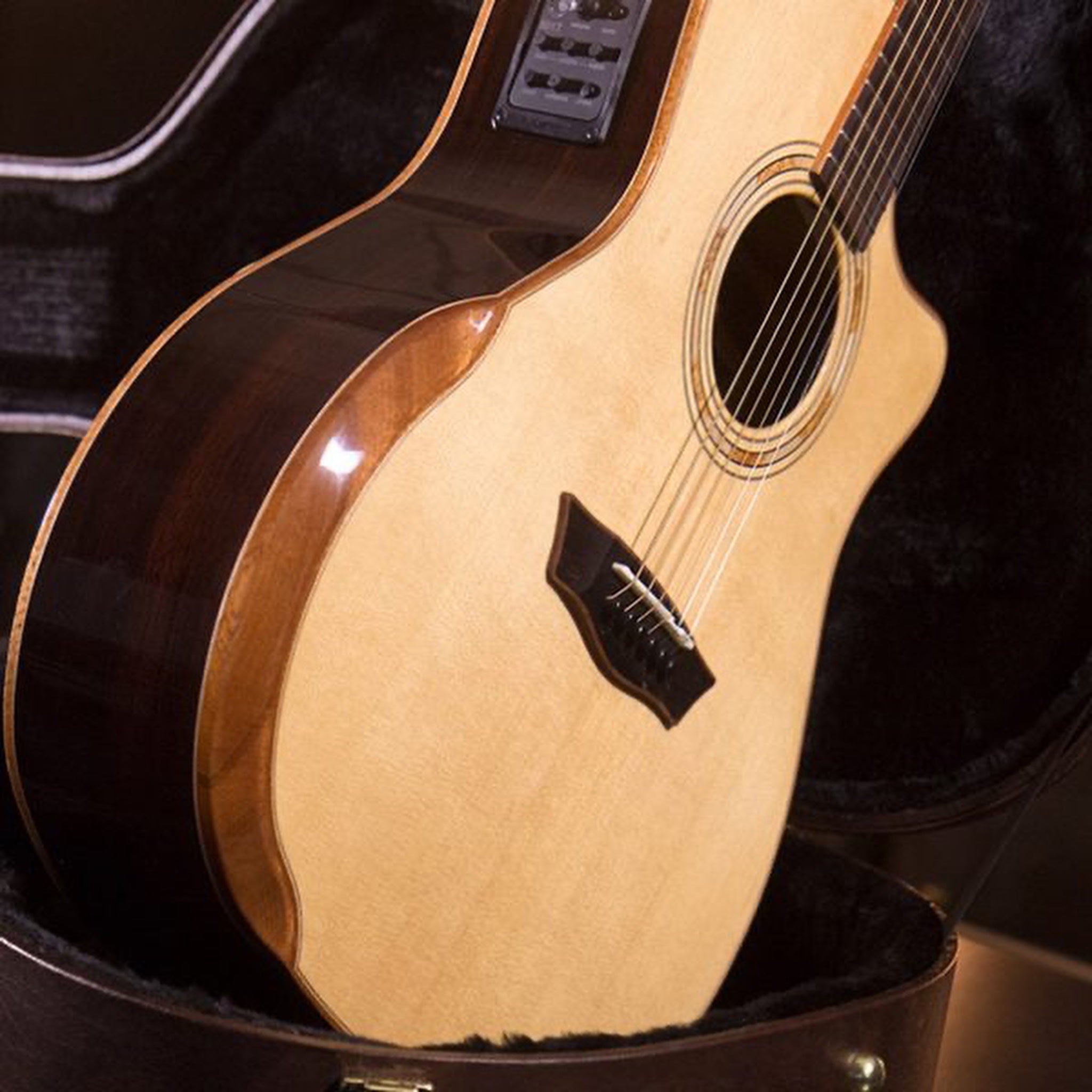 Washburn G25SCE Comfort Deluxe Pau Ferro acoustic-electric guitar