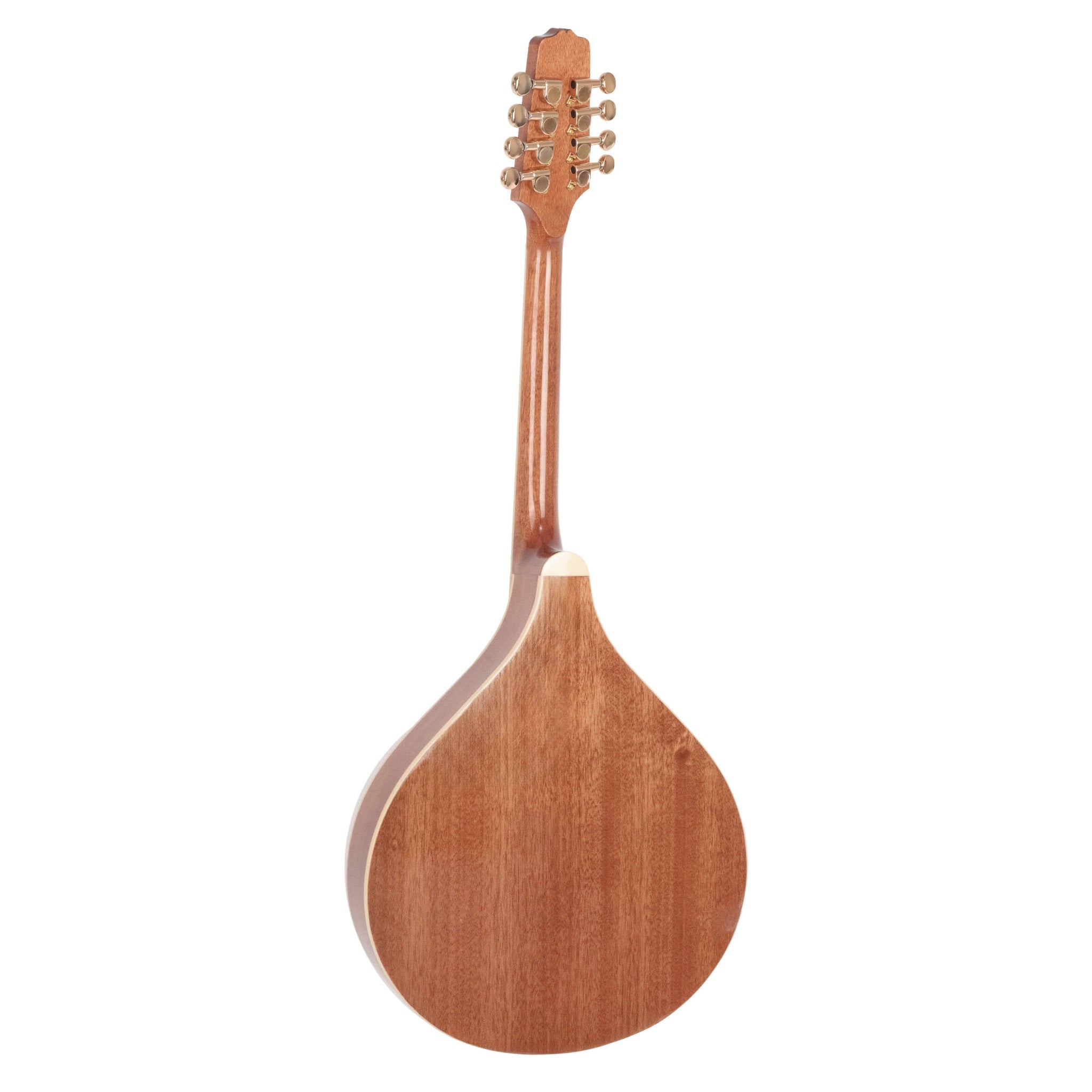 Wooden lute instrument on a white background