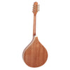 Wooden lute instrument on a white background