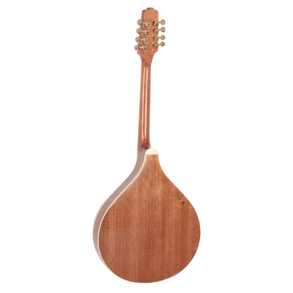 Wooden lute instrument on a white background